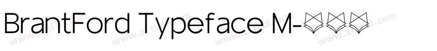 BrantFord Typeface M字体转换